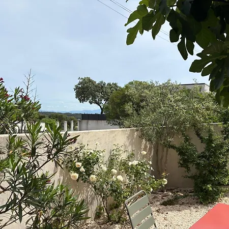 La Petite Provence Maison Climatisee Independante Avignon Pour 2 A 4 Personnes