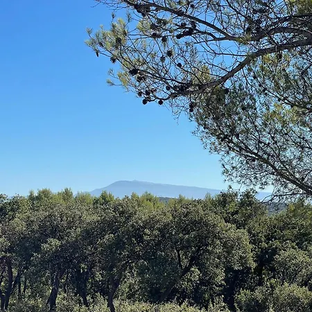 Tatil Evi La Petite Provence Maisonnette Independante Avec Jardin Avignon Villeneuve-lès-Avignon